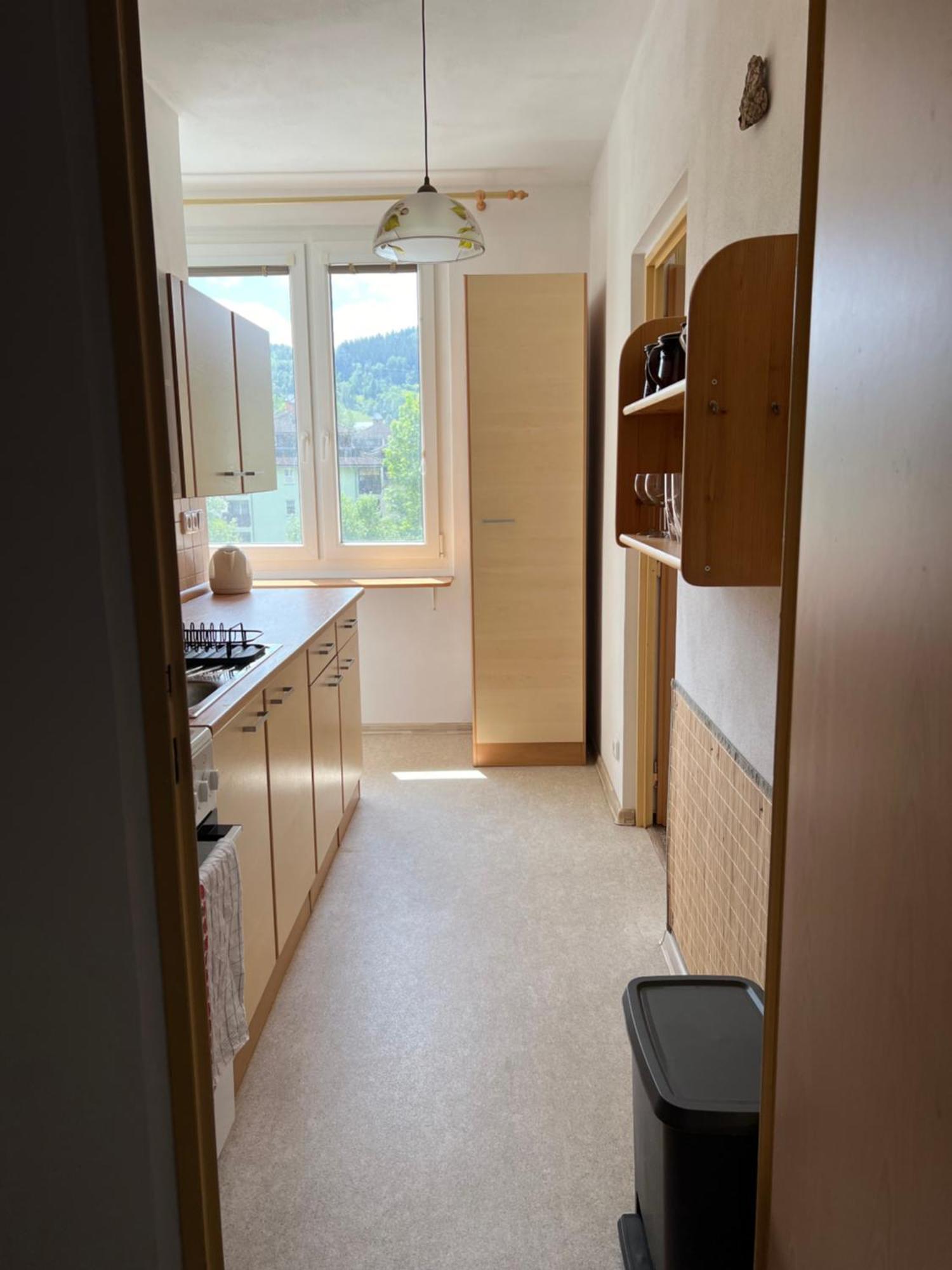 Apartment Pod Studenou Horou *